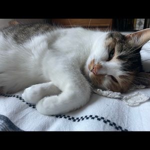 Meet your Posher, Jayson